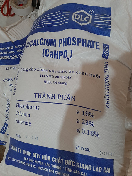 Dicalcium Phosphate (DCP) CaHPO4 - Hóa Chất Lý Hùng - Công Ty TNHH Công Nghệ Lý Hùng